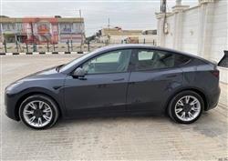 تسلا موديل Y